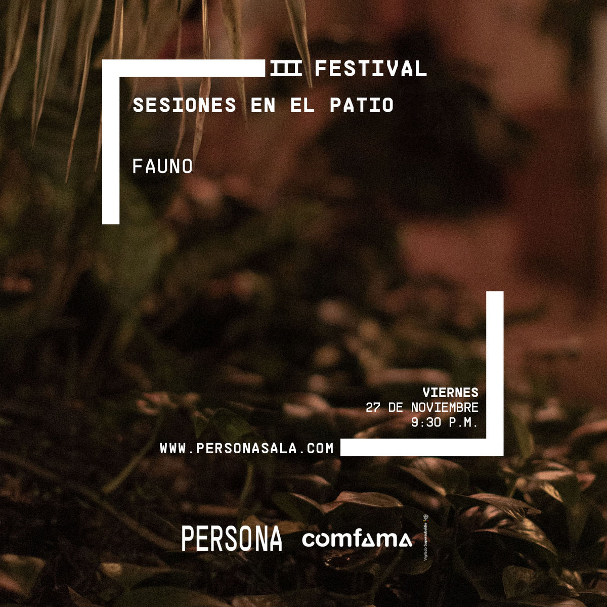 Sesión en el patio con Fauno (COL)