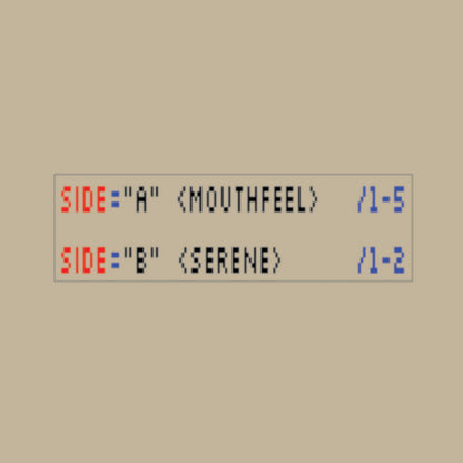 Mouthfeel / Serene de Sam Gendel & Josiah Steinbrick